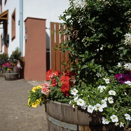 Maijeschhof アパート Pelm