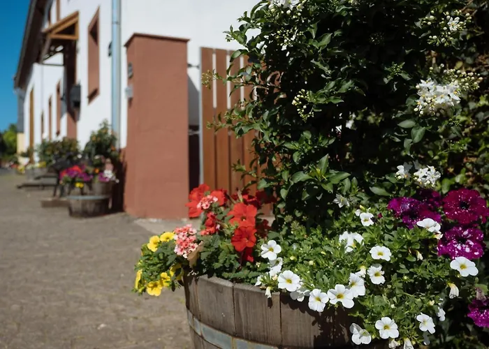 Maijeschhof Apartamento Pelm